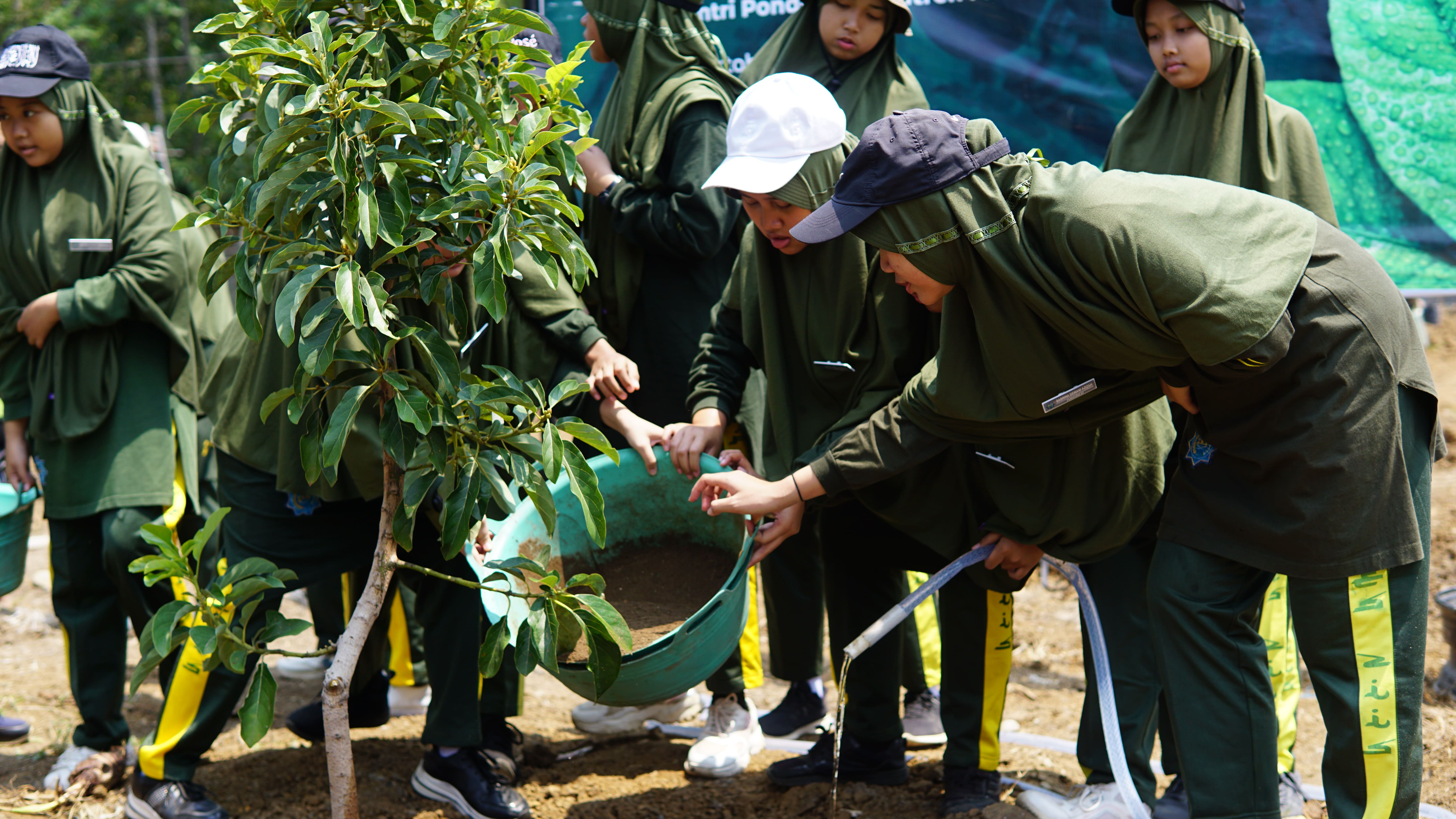 Entrepreneurship – Penanaman Perdana Alpukat Aligator